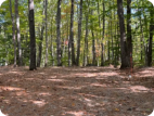 One of our very large rv sites