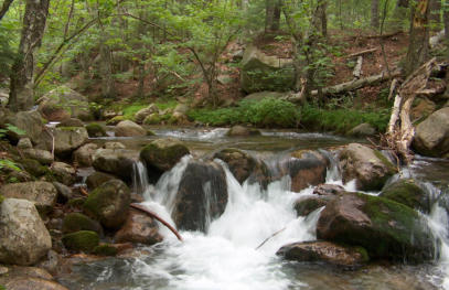 The White Mountains